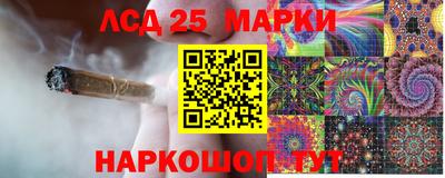 шишки Моздок
