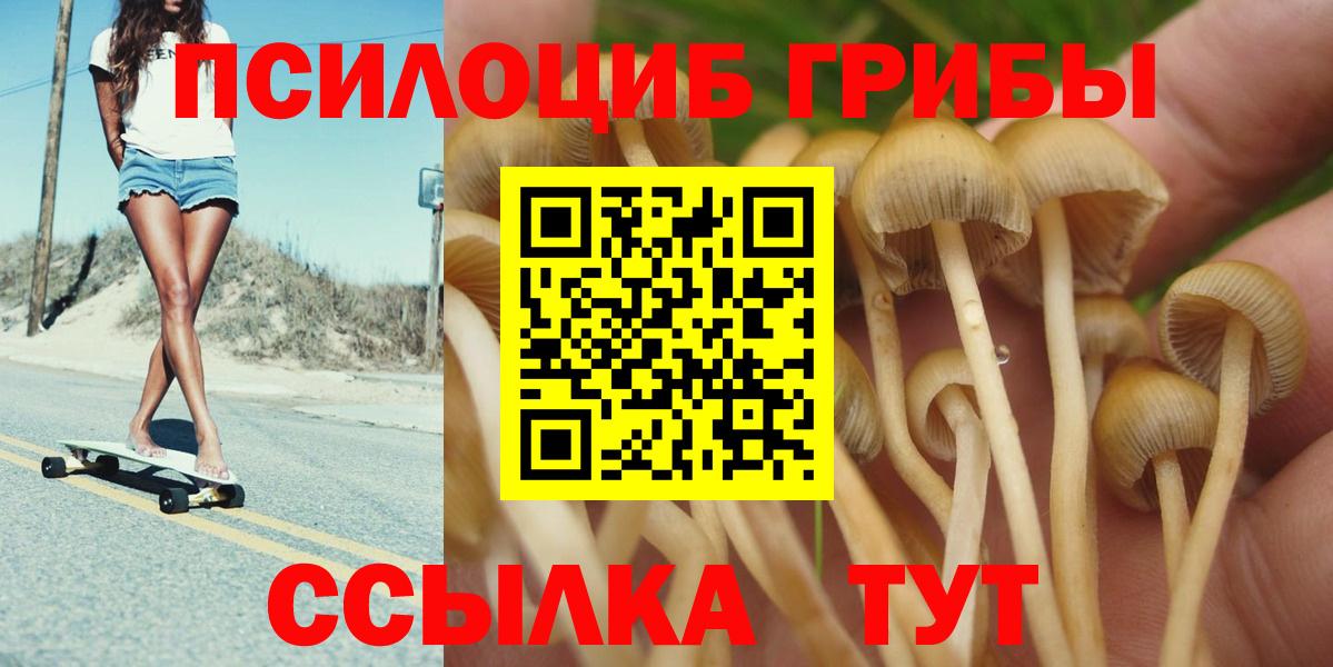 Псилоцибиновые грибы Psilocybine cubensis Шали