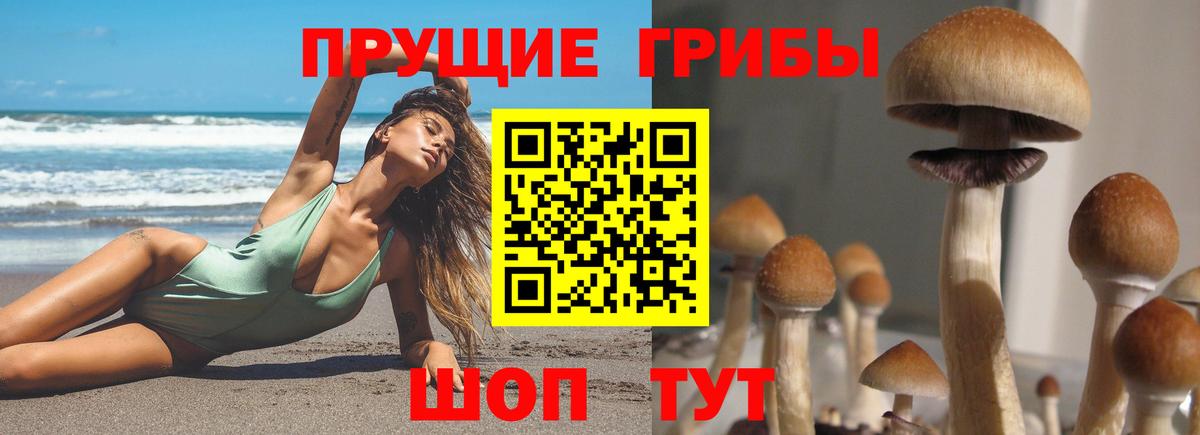 Псилоцибиновые грибы мицелий  Псилоцибиновые грибы Psilocybe  Вход с VPN  Шали 